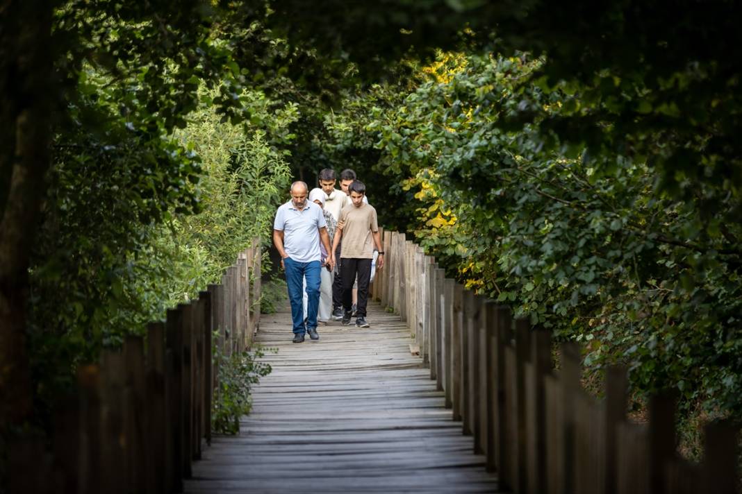 Türkiye’nin en büyük tek parça subasar ormanı 16